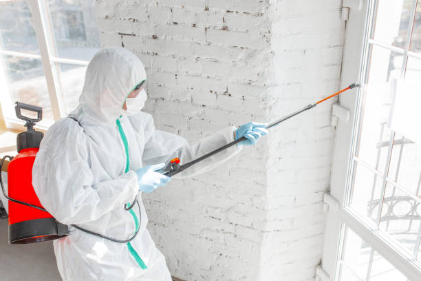 Best Industrial Mold Remediation  in North Bend, OH